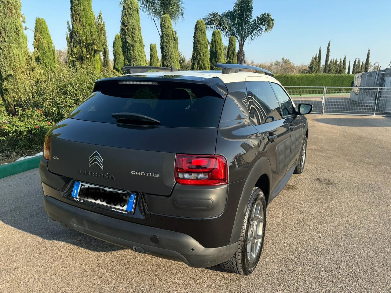 Citroen C4 Cactus PureTech 110 S&S Feel