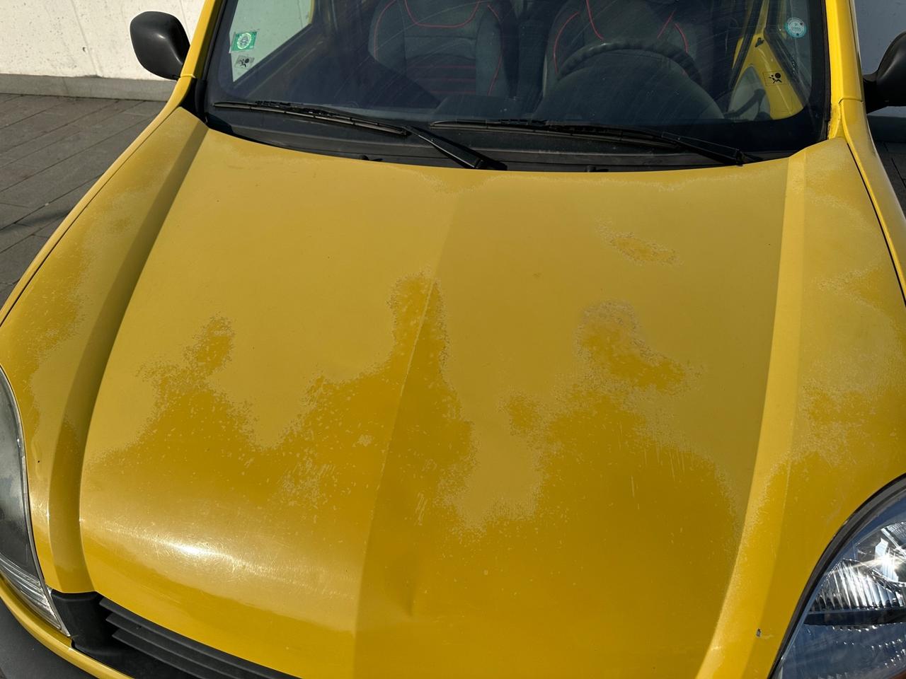 Renault Kangoo 1.6 16V 4x4 5p. Luxe