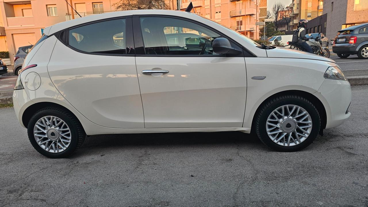 Lancia Ypsilon 1.3 MJT 16V 95 CV 5 porte S&S Elle