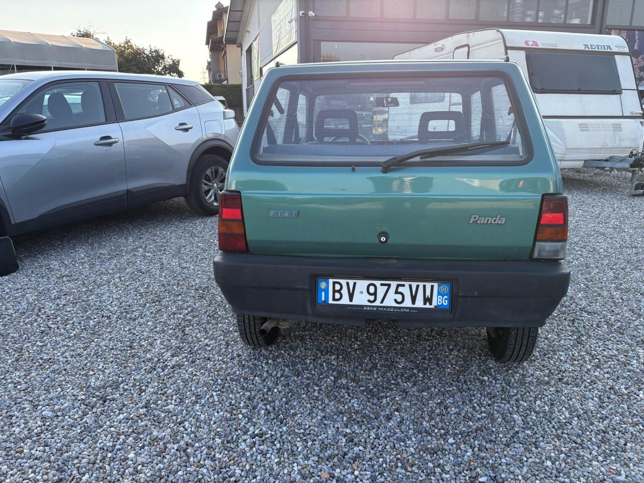 Fiat Panda 1100 i.e. cat Young