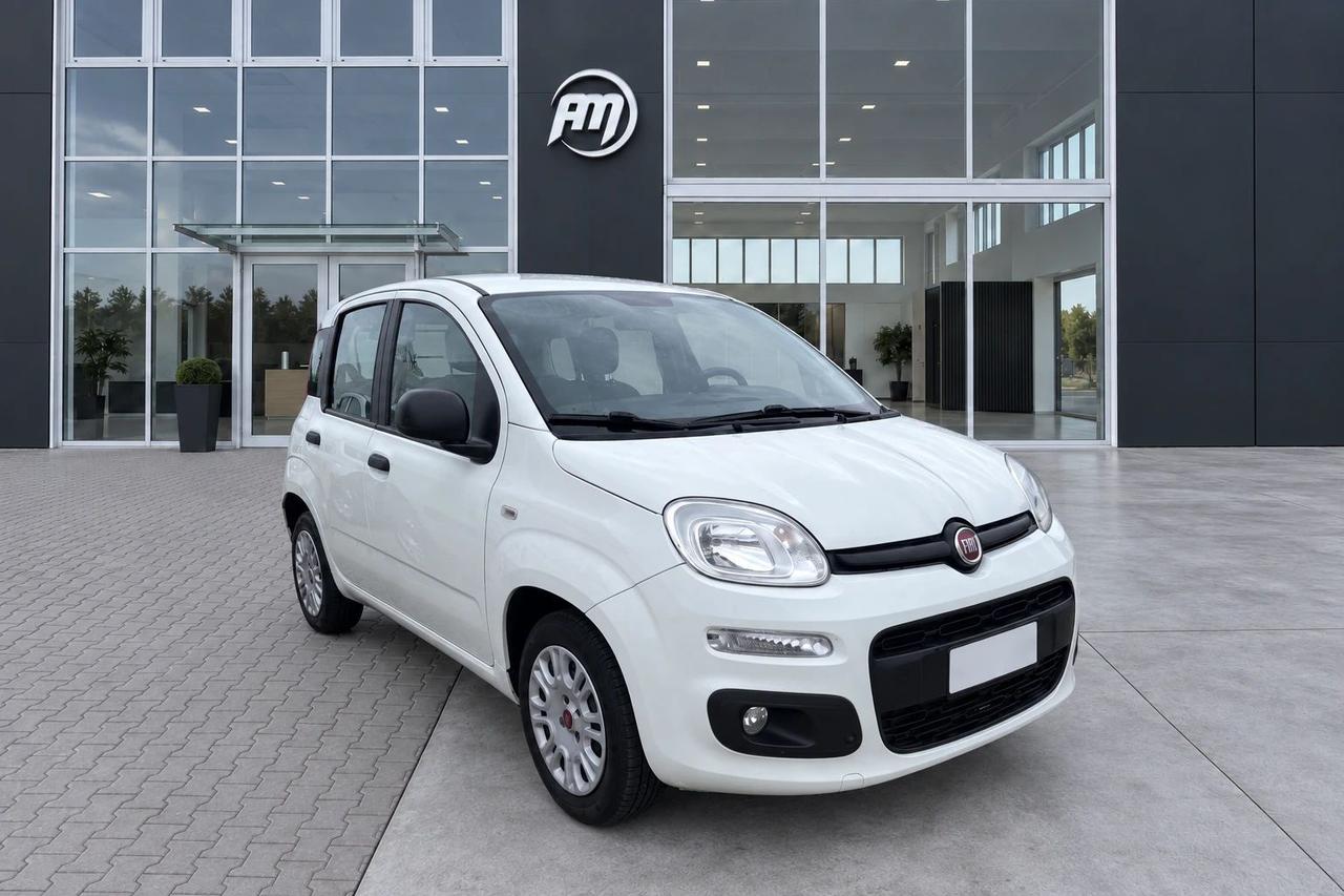 Fiat Panda 1.3Mjt Autocarro N1