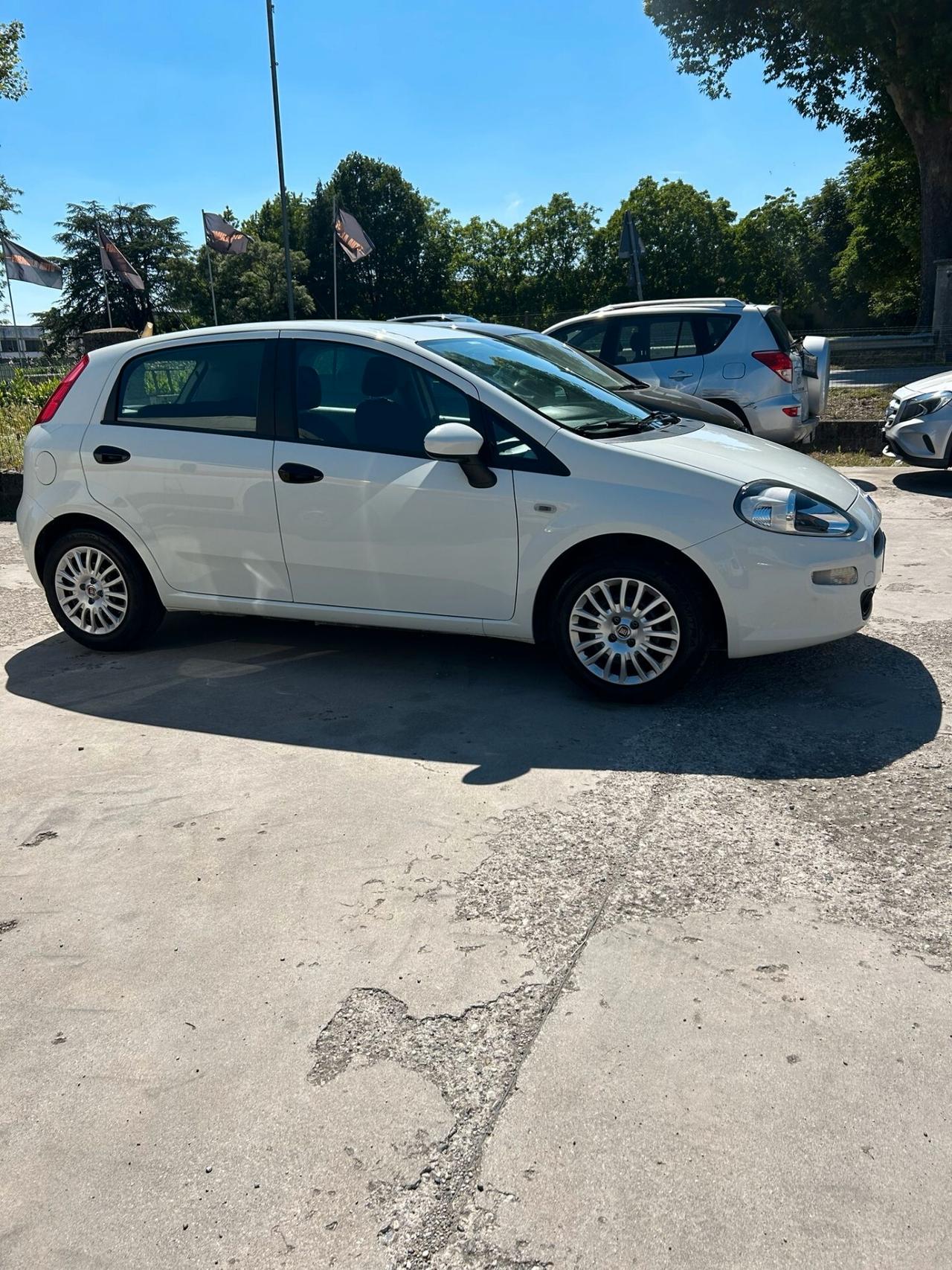 Fiat Punto 1.3 MJT II S&S 85 CV 5 porte ECO Street OK NEO PATENTATI