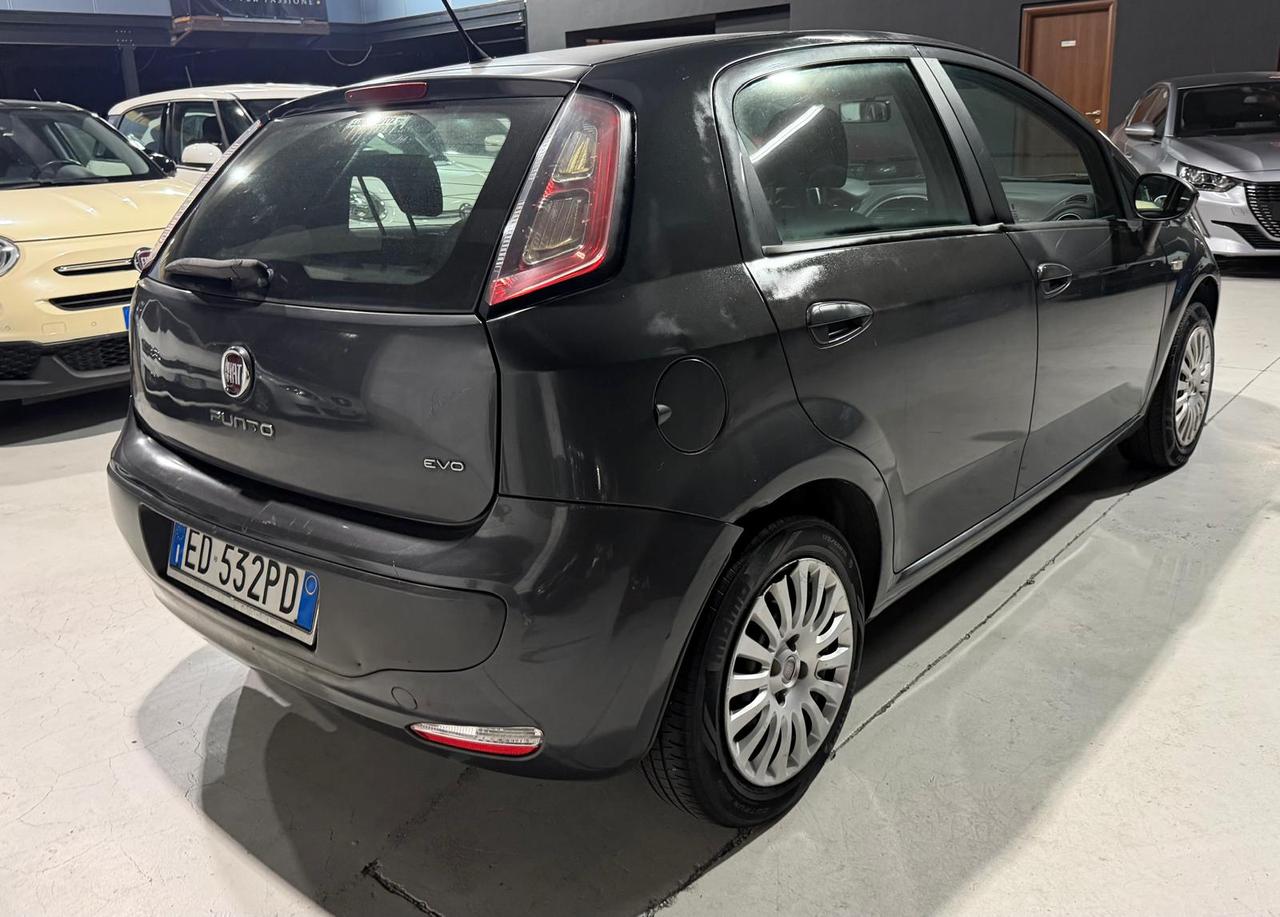 Fiat Punto Evo 5p 1.2 Active 65cv Benzina 5 posti
