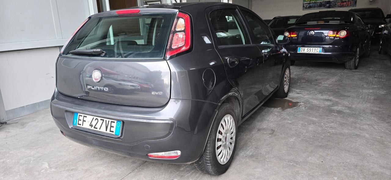 Fiat Punto Evo 1.2 5 porte S&S Active