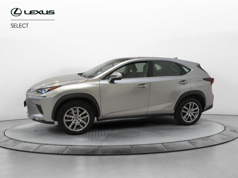 Lexus NX Hybrid 4WD Premium