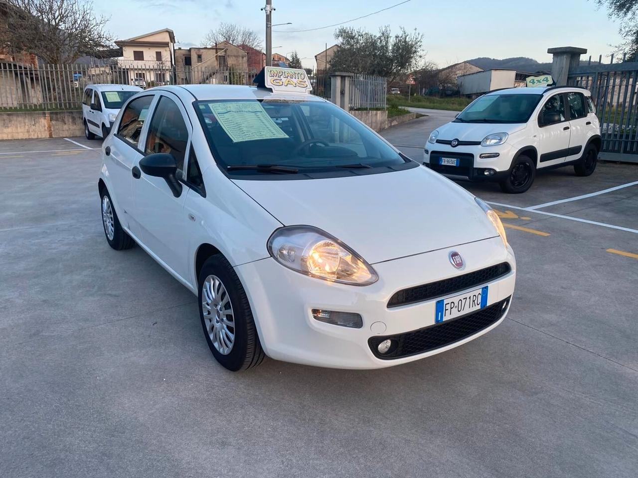 Fiat Punto benz/GPL 1.4 fire 77 CV Street 2018