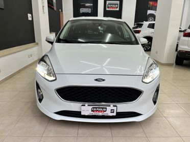 Ford Fiesta 1.5 EcoBlue 5 porte Business - 2020