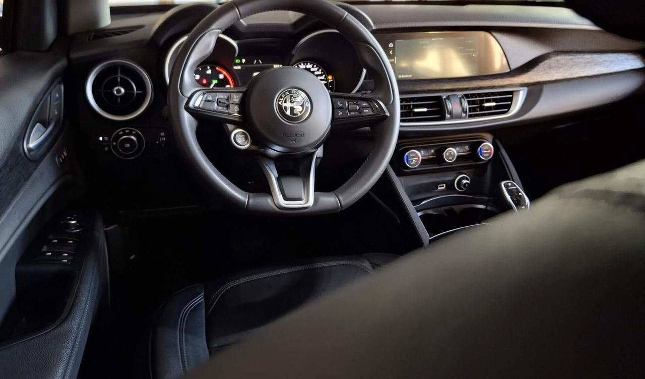 Alfa Romeo Stelvio 2.2 160 CV AT8 Sedili in pelle
