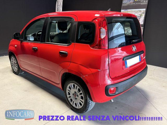 FIAT Panda Hybrid 1.0 FireFly 70 cv Neopatentati - PROMO