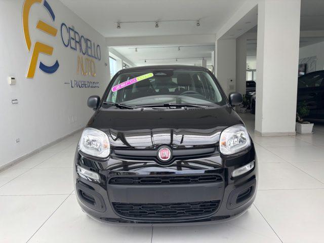 FIAT Panda 1.0 FireFly S&S Hybrid da ?139,00 mensili