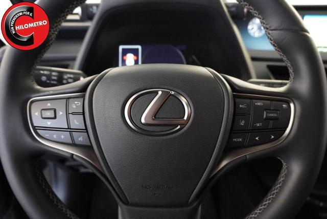 LEXUS UX 250h UX Hybrid Business