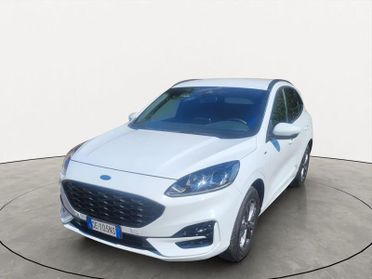 Ford Kuga 2.0 EcoBlue 150 CV aut. AWD ST-Line