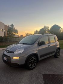 Fiat Panda 1.0 FireFly S&S Hybrid Sport