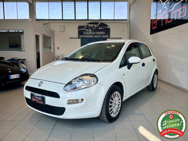 FIAT Punto 1.2 8V 5p. Pop *NEOPATENTATI*