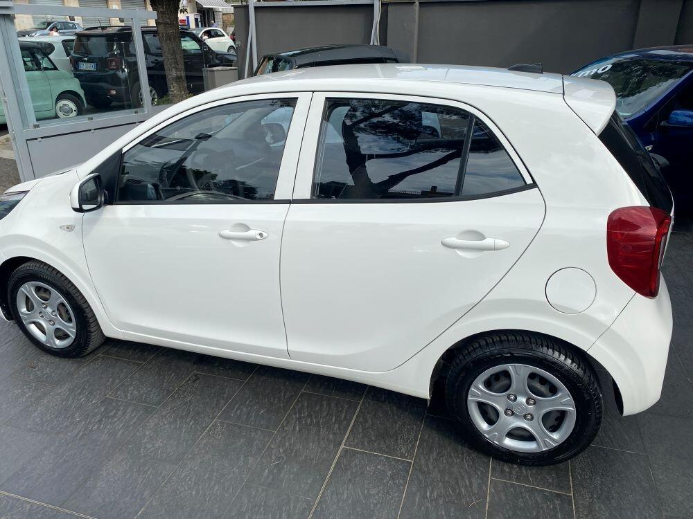 Kia Picanto 1.0 12V 5 porte Urban