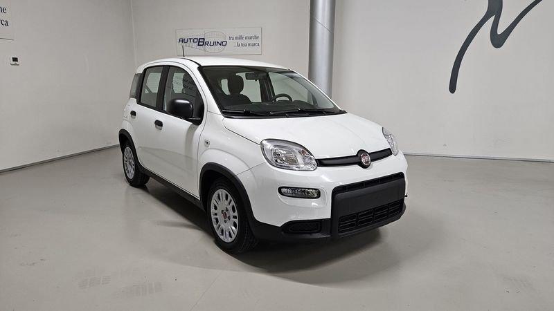 FIAT Panda 1.0 FireFly S&S Hybrid con Fidelity Free
