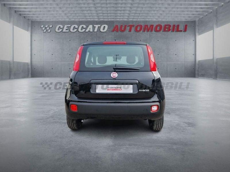FIAT Panda Panda 1.0 firefly hybrid s&s 70cv
