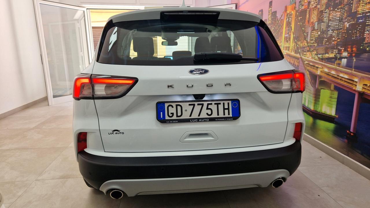 Ford Kuga 1.5 EcoBlue 120 CV aut. 2WD Titanium Business