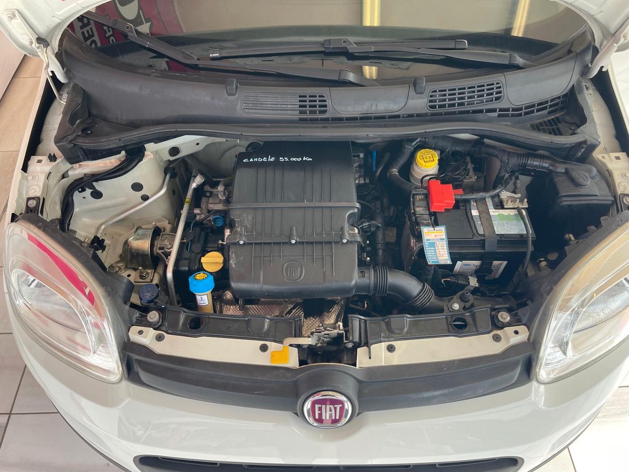 FIAT Panda 3ª serie Panda 1.2 Easy