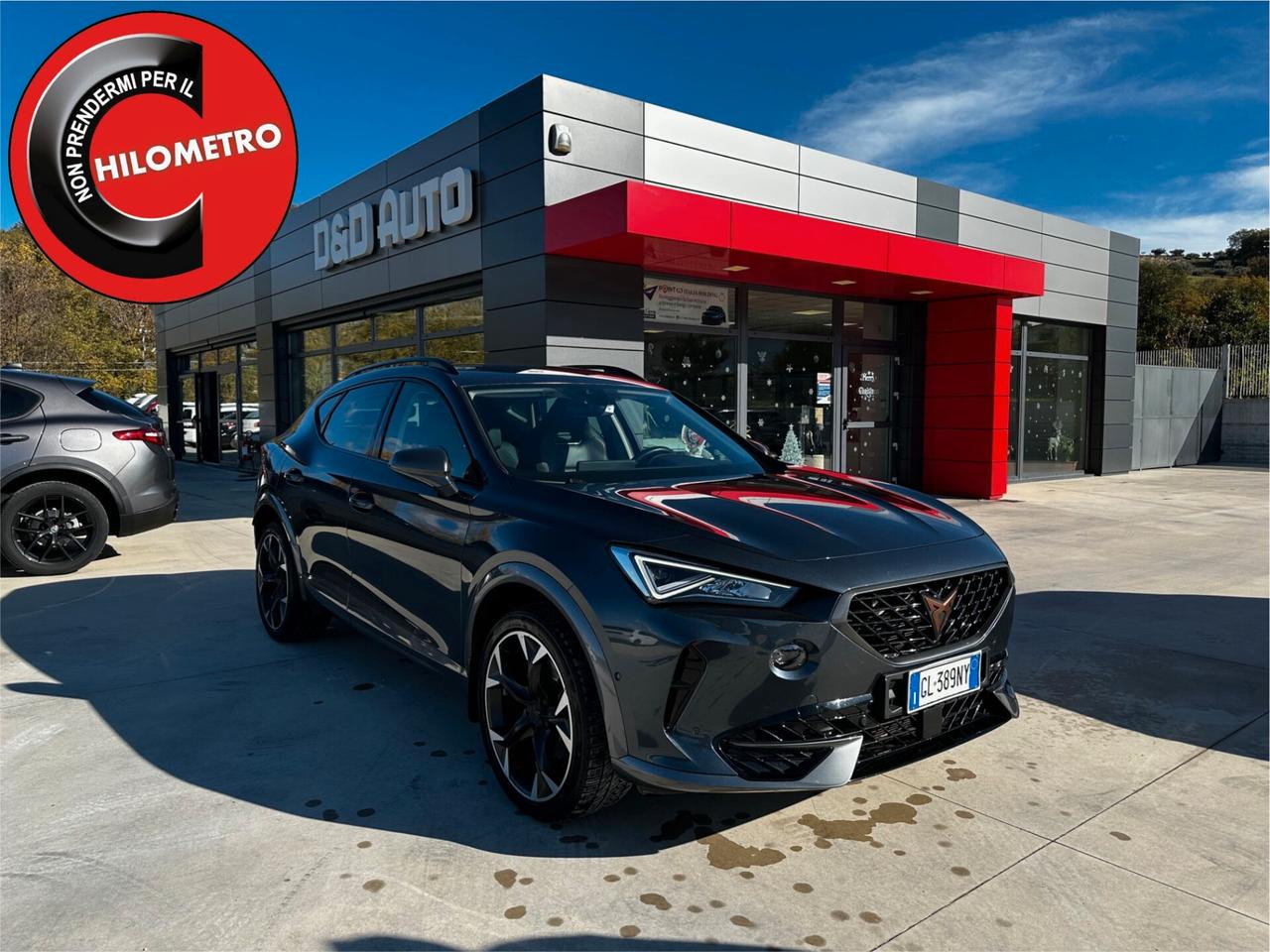 Cupra Formentor 2.0 TDI 4Drive DSG