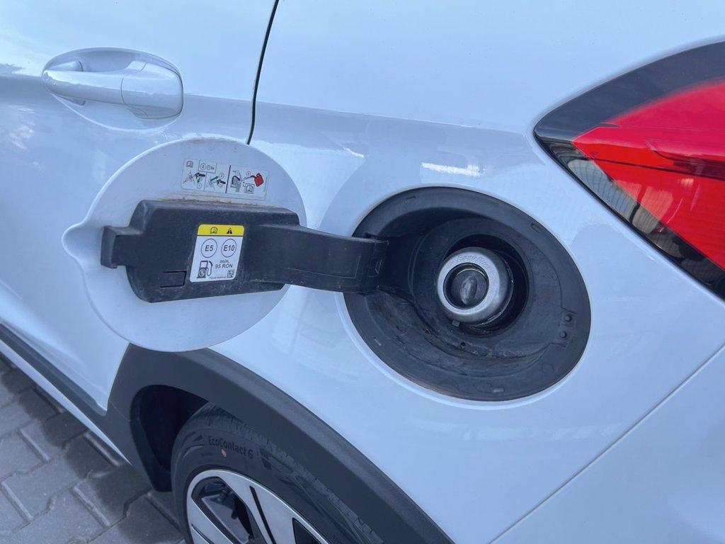 FORD Fiesta 1.0 Ecoboost Hybrid 125 CV 5 porte Titanium del 2022