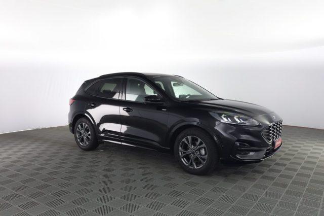 FORD Kuga Kuga 2.0 EcoBlue 120 CV aut. 2WD ST-Line