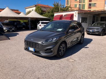 FORD KUGA 2.0 EcoBlue 120cv aut. AWD ST-Line X