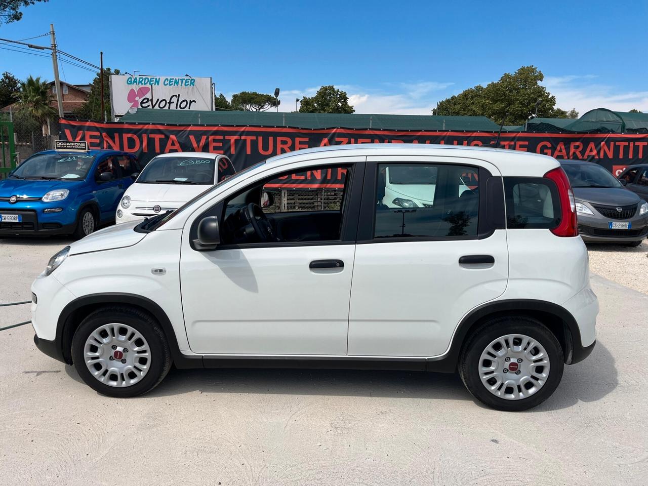 Fiat Panda 1.0 FireFly S&S Hybrid