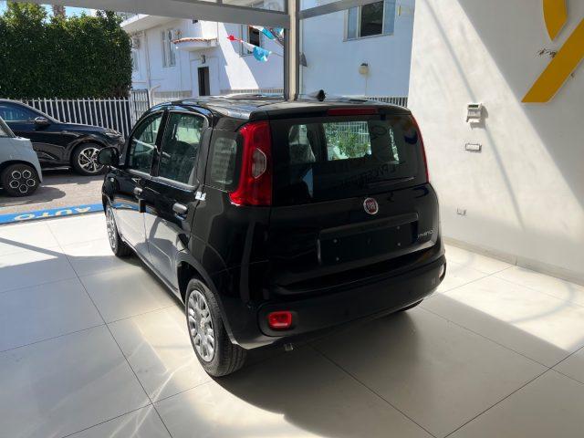 FIAT Panda 1.0 FireFly S&S Hybrid Icon tua da ?149,,00