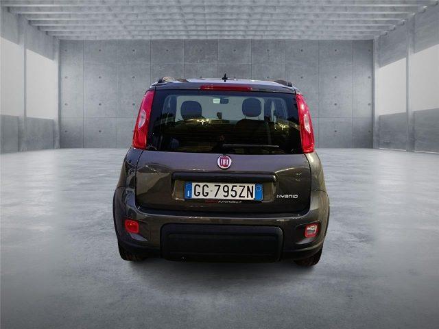 FIAT Panda 3ª serie 1.0 FireFly S&S Hybrid