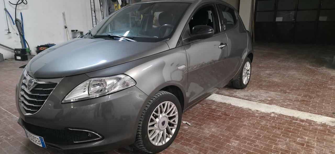 Lancia Ypsilon 1.3 MJT 16V 95 CV 5 porte S&S Platinum