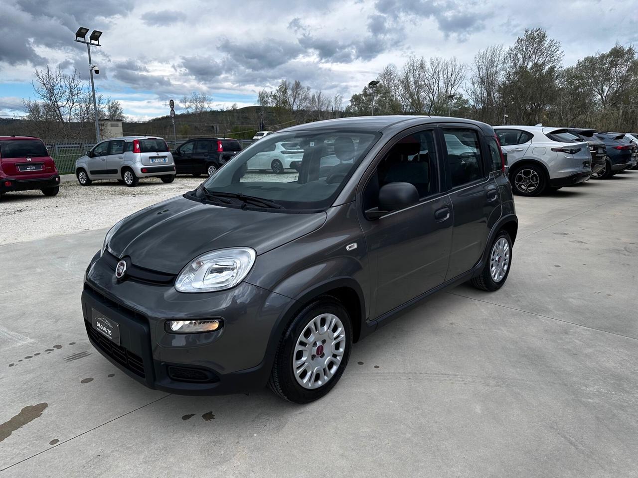 Fiat Panda 1.0 FireFly S&S Hybrid 5 POSTI