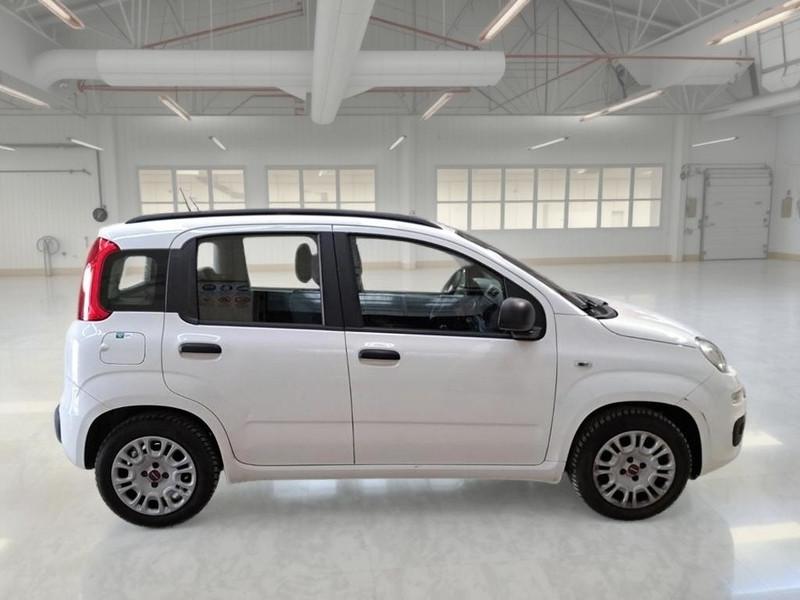 FIAT PANDA 1.2 69cv EasyPower E6 Easy 5 PORTE