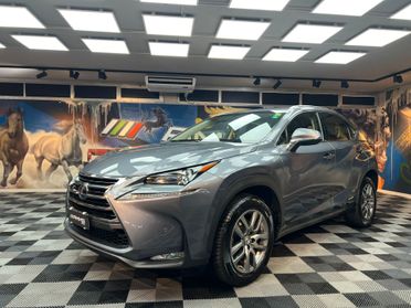 NX 300h 2.5 Executive 4wd cvt (190)