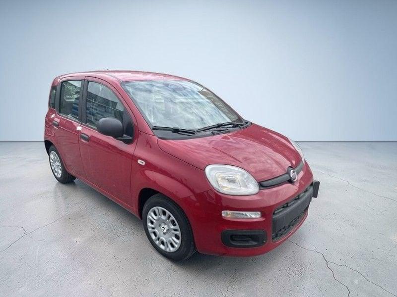 FIAT Panda SOLO A MARZO ANCHE SENZA ROTTAMAZIONE!!!!!