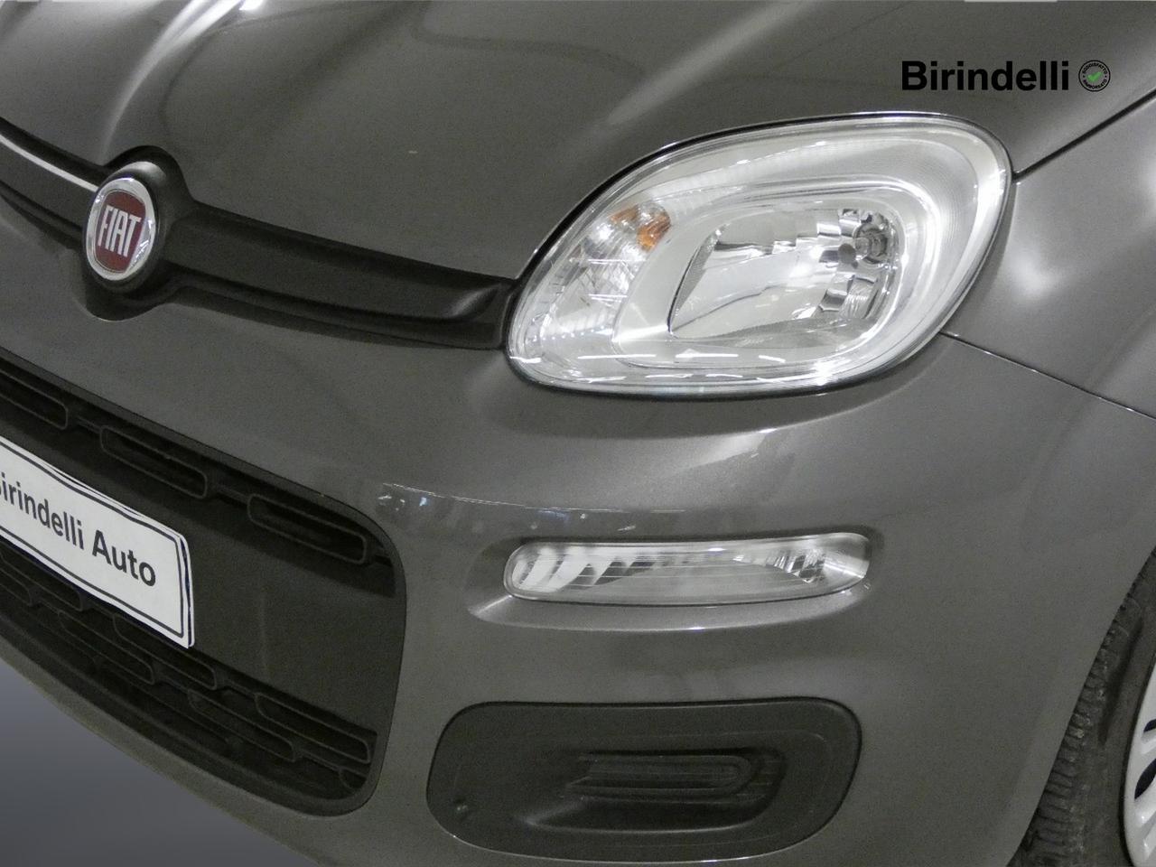 FIAT Panda 3ª serie - Panda 1.0 FireFly S&S Hybrid