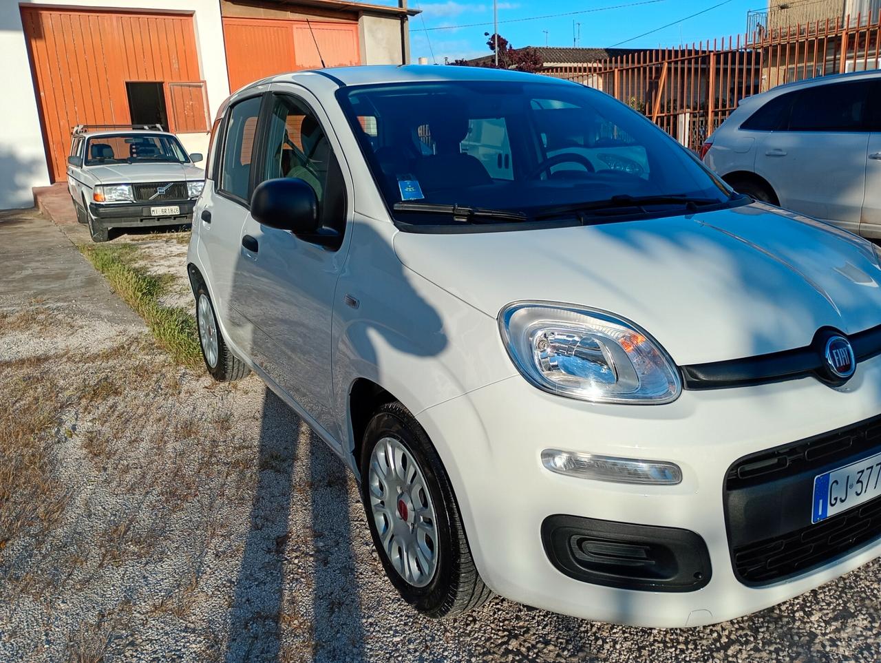 Fiat Panda 1.0 FireFly S&S Hybrid Pandina