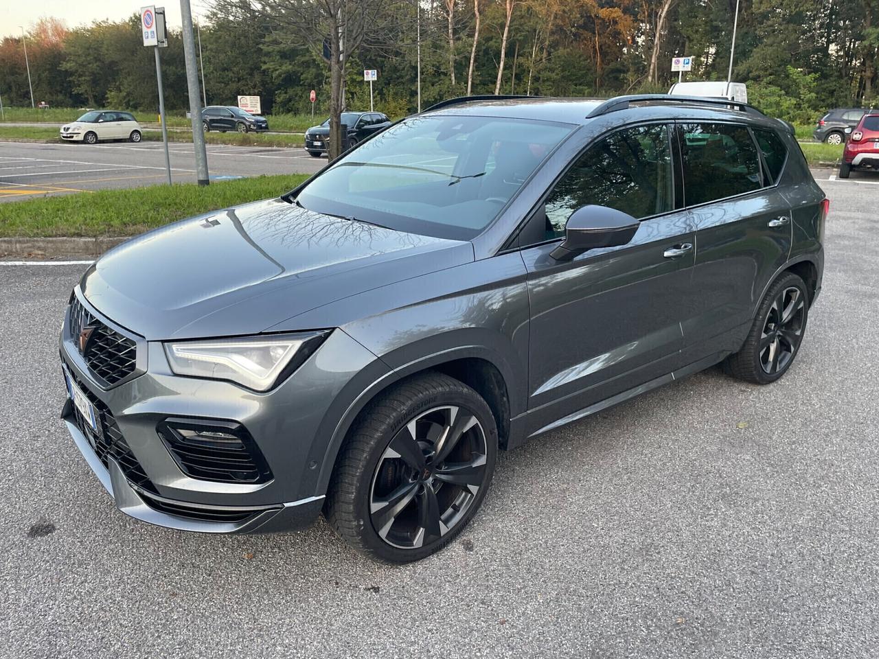 Cupra Ateca 2.0 TSI DSG 4Drive VZ*Automatik*Navi*