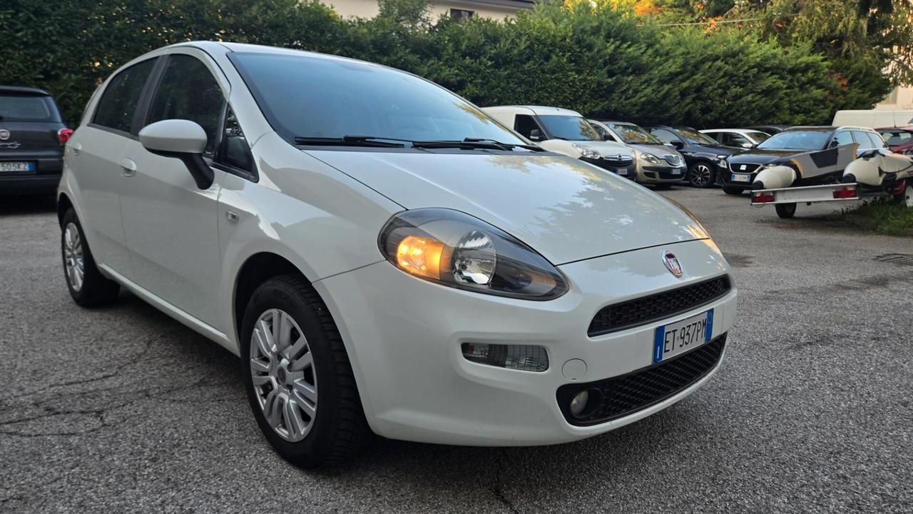 Fiat Punto 1.2 8V 5 porte Street Ok Neopatentati