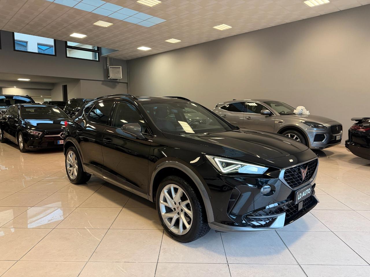 Cupra Formentor 2.0 TDI 4Drive DSG