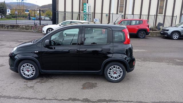 FIAT Panda *PROMO* 1.0 FireFly S&S Hybrid
