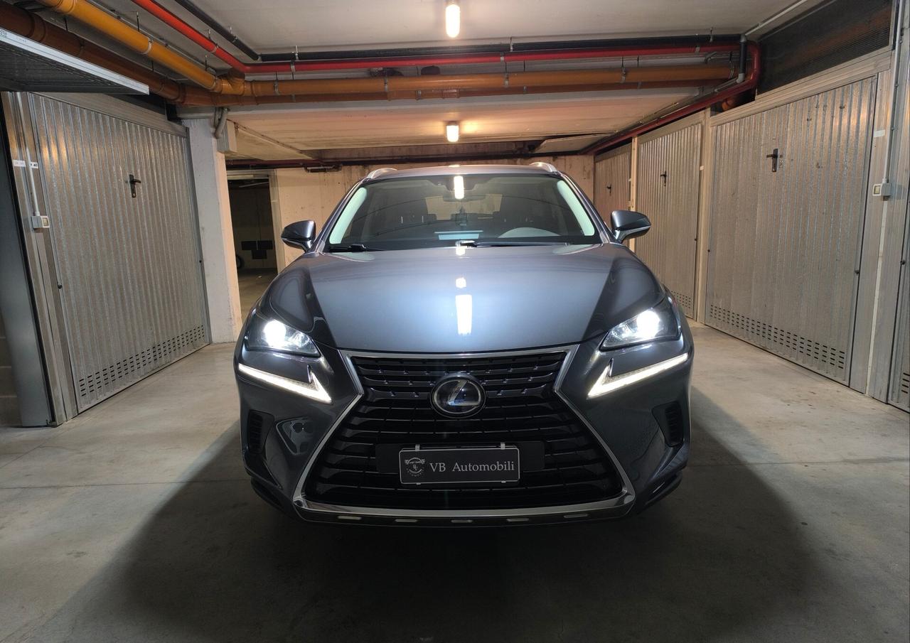 Lexus NX 300h Hybrid Business