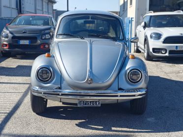 Volkswagen Maggiolino si
