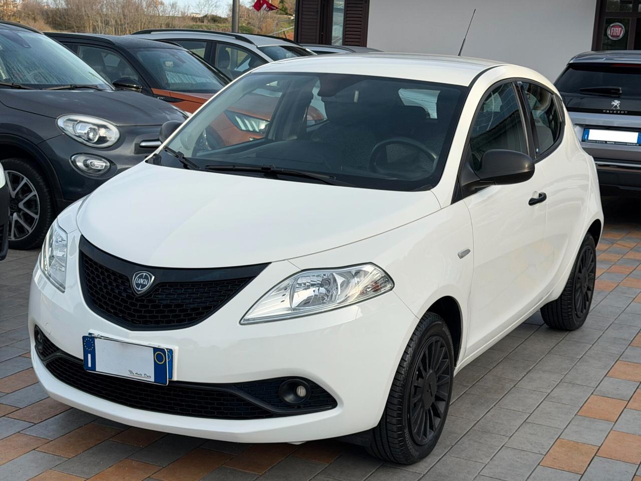 Lancia Ypsilon 1.2 69 cv. ELEFANTINO BLU