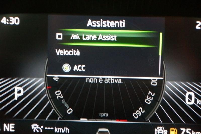 Skoda Karoq Karoq 2.0 TDI EVO SCR 115 CV DSG Executive