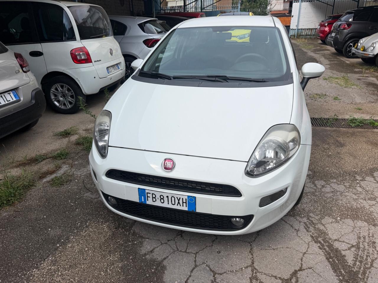 Fiat Punto 1.2 8V 5 porte Lounge