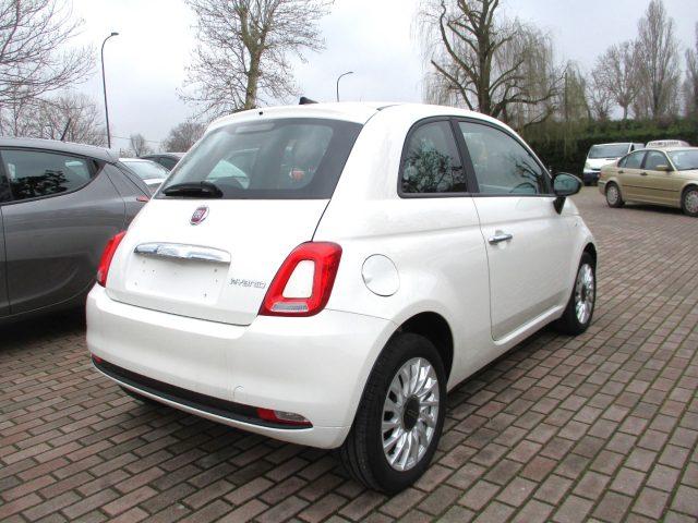 FIAT 500 1.0 Hybrid Cult - CarPlay/NAVI/Cruise