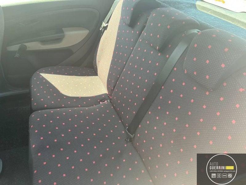 FIAT Punto Punto 1.3 Multijet 16V 5 porte Active