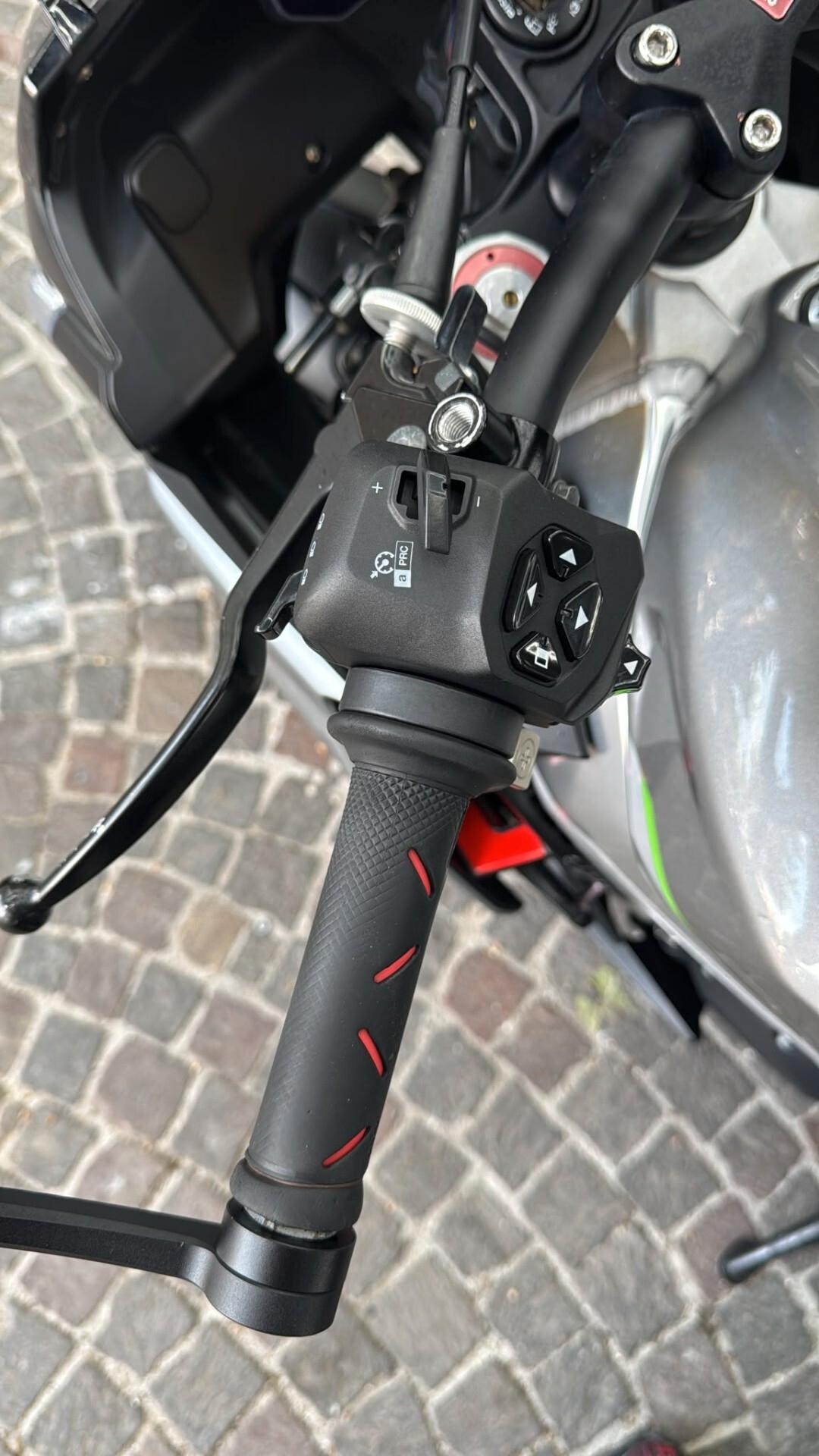 Aprilia Tuono V4 1100