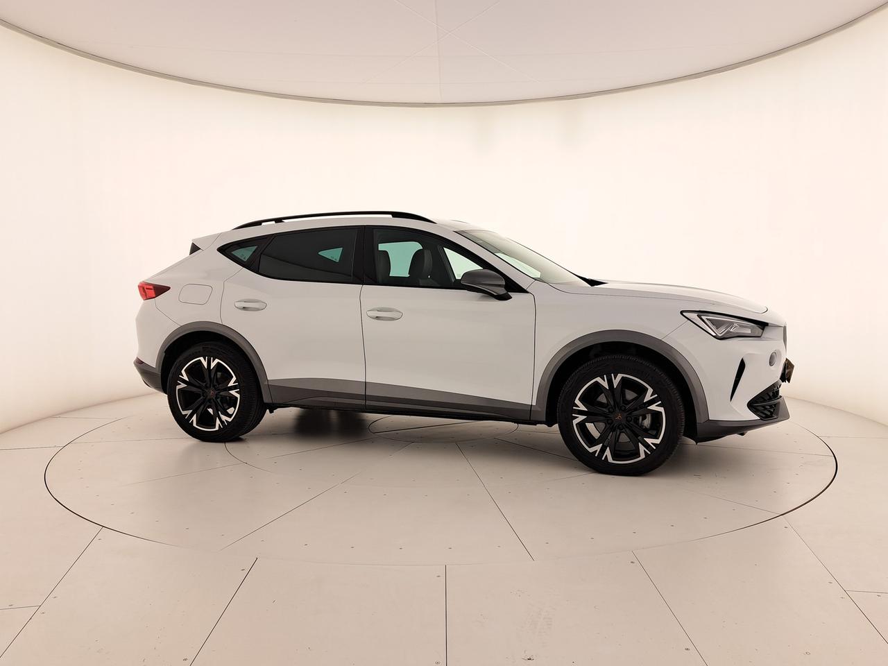 Cupra Formentor 2.0 tdi 4drive 150cv dsg